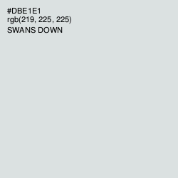 #DBE1E1 - Swans Down Color Image